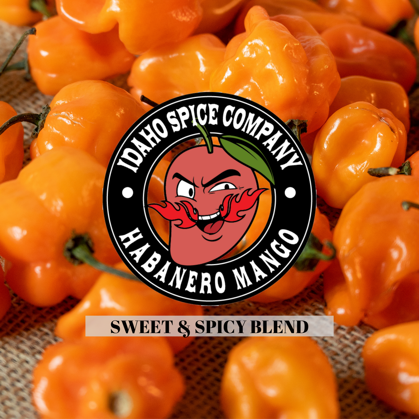 Habanero Mango Rub