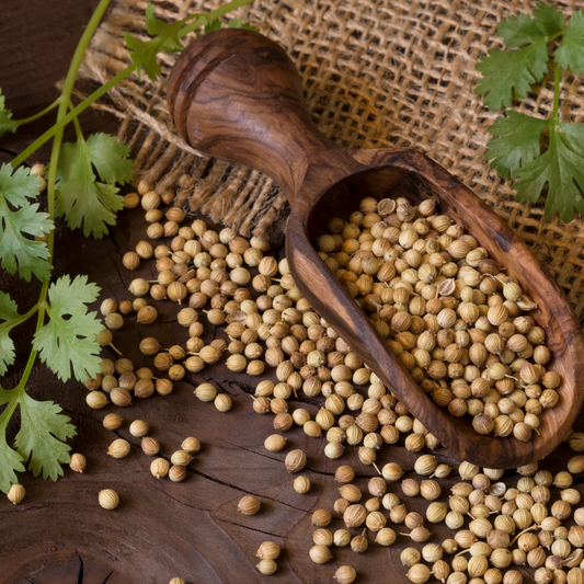 Coriander Seeds