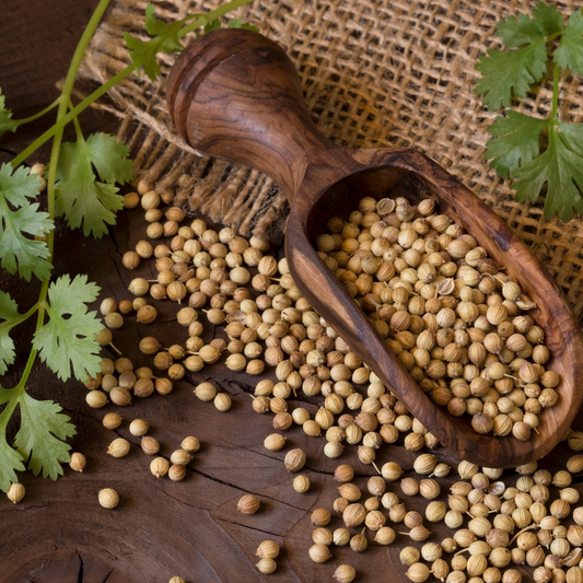 Coriander Seeds, Whole