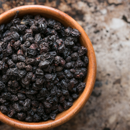 Elderberry, Organic